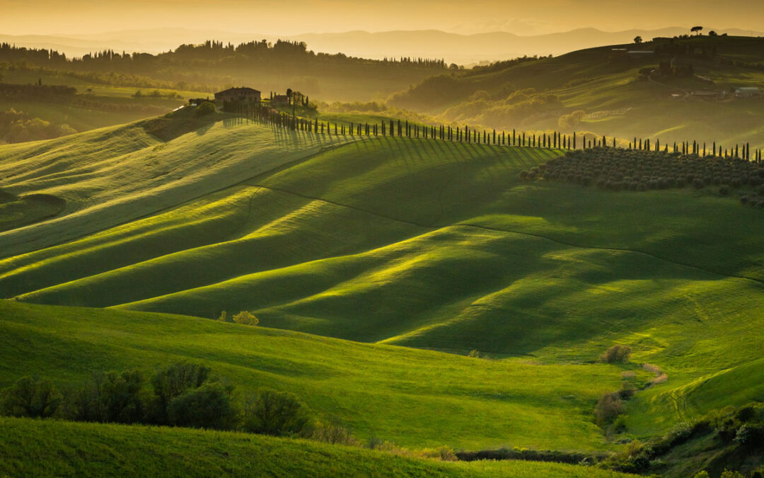 AgriTech Investor Day